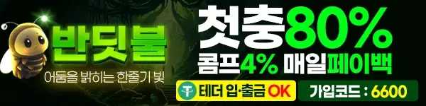 배너