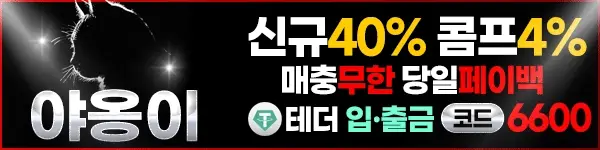 배너