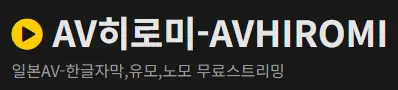 AV히로미