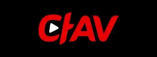 다AV